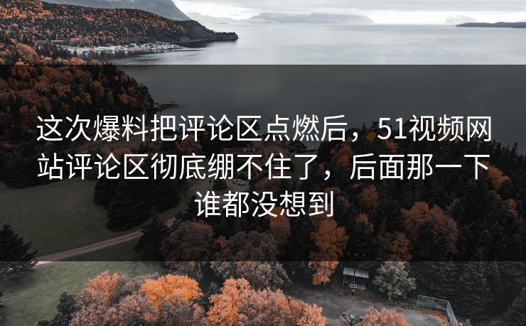这次爆料把评论区点燃后，51视频网站评论区彻底绷不住了，后面那一下谁都没想到